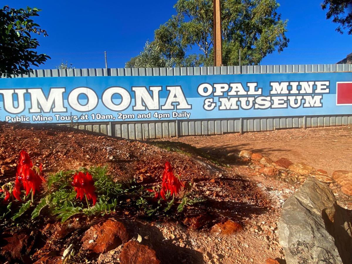 Ali'S Underground Studio Coober Pedy Exterior photo